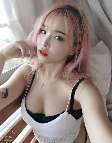啄木鸟满天星在线_4K在线观看电视
