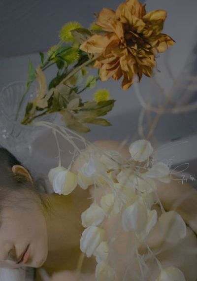 电视剧麻雀免费全集播放_4K在线视频观看