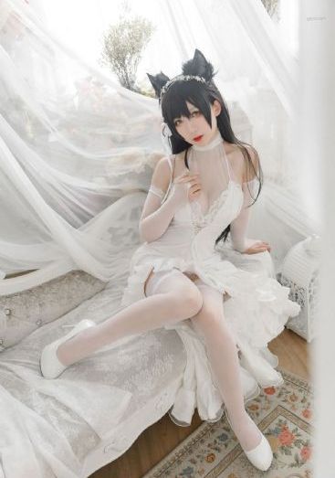 电影免费观看电影在线播放_BD高清视频观看